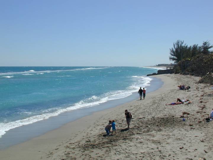 fla080.jpg, 38900 bytes, 3/10/04