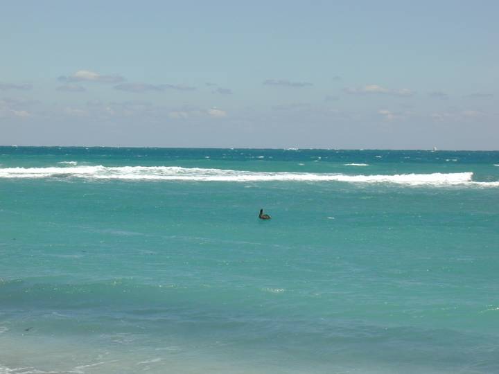 fla083.jpg, 21628 bytes, 3/10/04