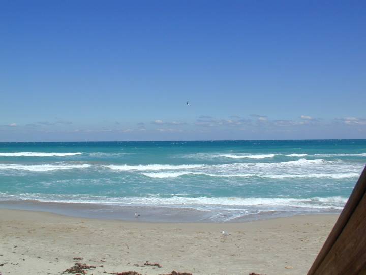 fla092.jpg, 31101 bytes, 3/10/04