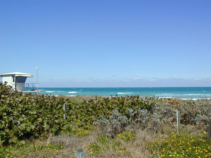 fla093.jpg, 54284 bytes, 3/10/04