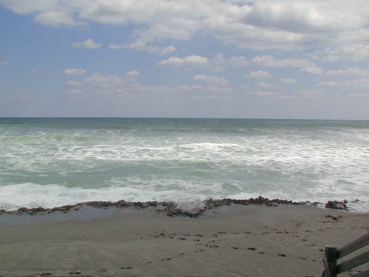 fla113.jpg, 34026 bytes, 3/11/04