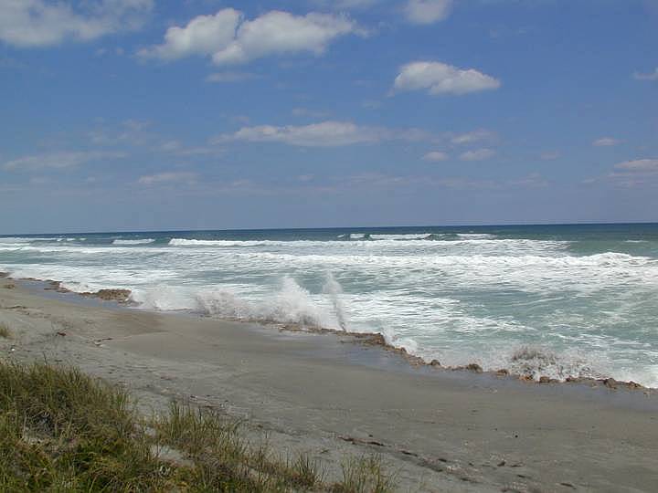 fla114.jpg, 38273 bytes, 3/13/04